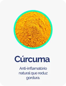 Curcuma-1.png